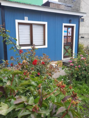 Campos de flores Ushuaia